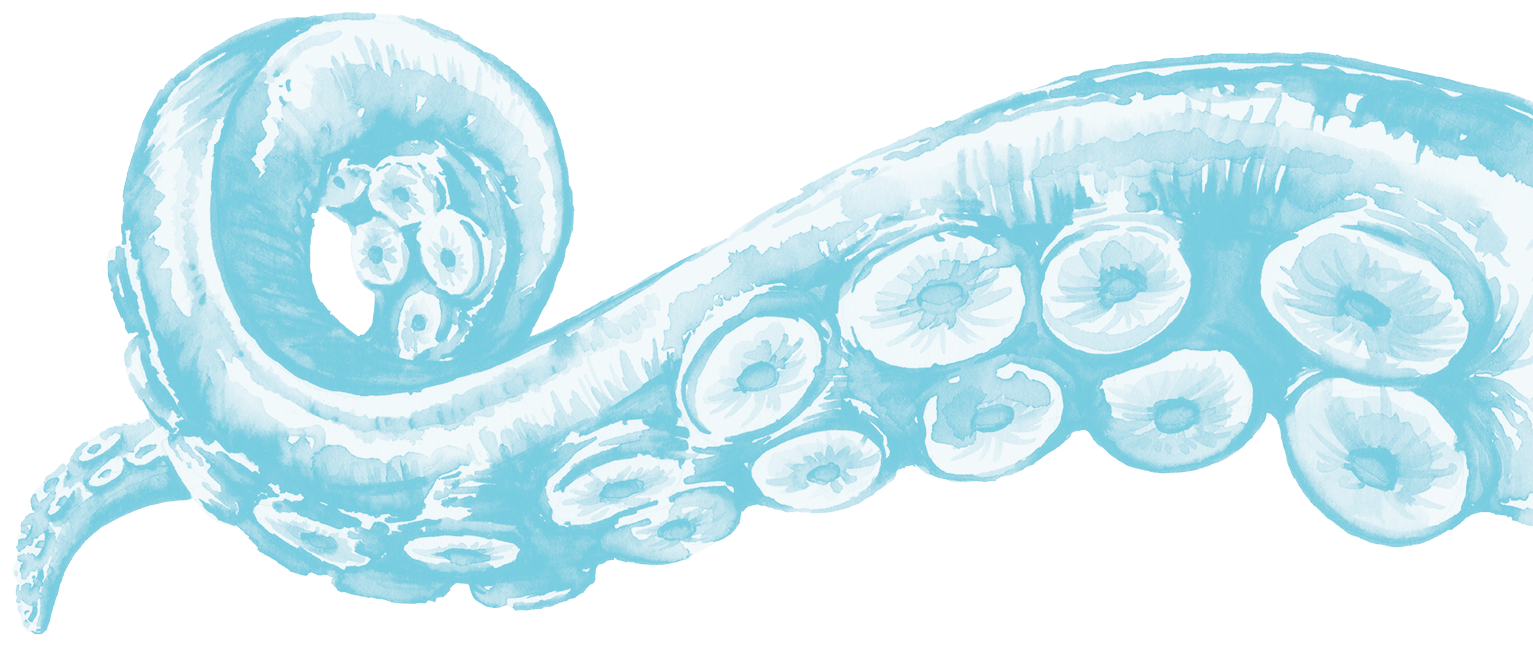 polipo azzurro tentacolo